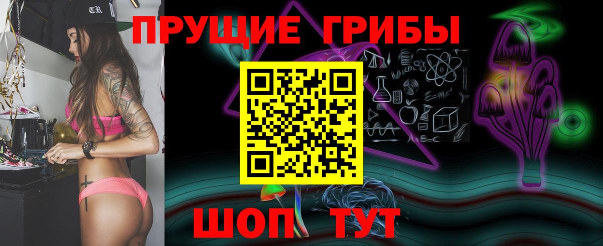 Новокуйбышевск  Галлюциногенные грибы прущие грибы  Вход с VPN 